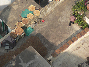 Rooftops from above, Sheung Wan, Hong Kong Island, 20 December 2004