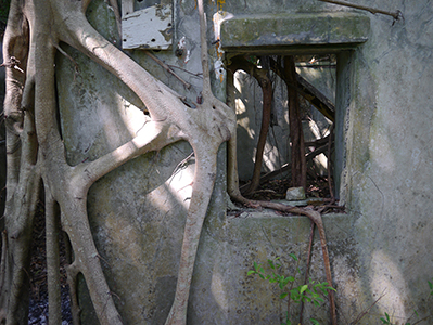 Abandoned house above Shek Pai Wan, Lamma Island, 23 October 2012