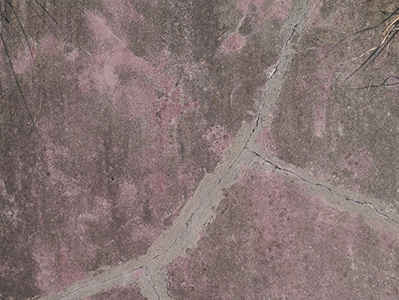 Wall near Mo Tat Wan, Lamma Island, 23 October 2012