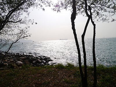 View of the East Lamma Channel from Sandy Bay, Hong Kong Island, 22 December 2012