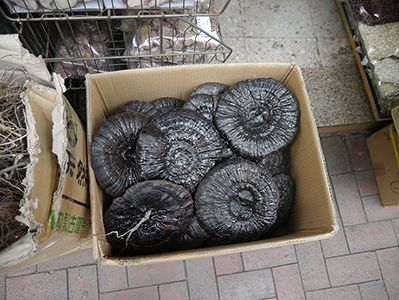 Fungi for sale, Queen's Road West, Sheung Wan, 7 January 2013