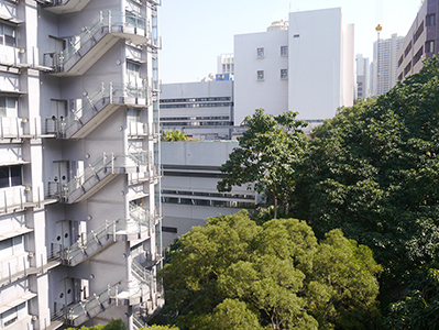 View of the  University of Hong Kong campus, 7 January 2013