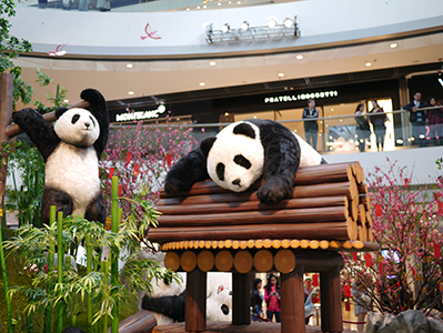 Panda-themed Lunar New Year decoration, IFC Mall, Central, 11 February 2013