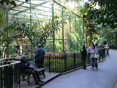 Hong Kong Zoological and Botanical Gardens, Central, 13 February 2013