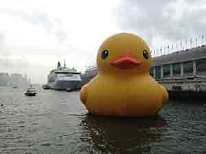 Giant rubber duck, Victoria Harbour, 9 June 2013