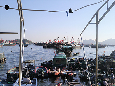 Boats in the harbour, Cheung Chau, 30 June 2013