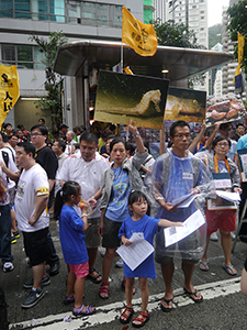 On the annual pro-democracy march, 1 July 2013