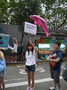 On the annual pro-democracy march, 1 July 2013