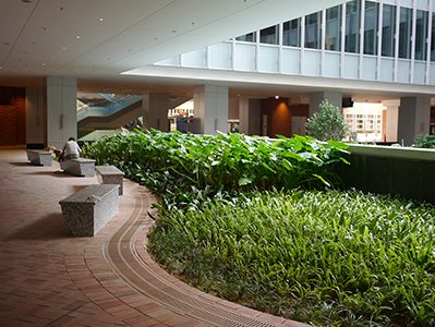 University of Hong Kong, 5 October 2013