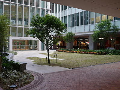 Centennial campus, University of Hong Kong, 5 October 2013