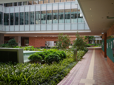 Centennial Campus, University of Hong Kong, 5 October 2013
