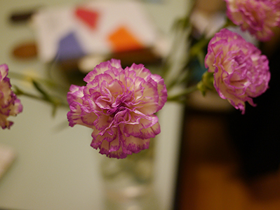 Flowers, Sheung Wan, 30 October 2013