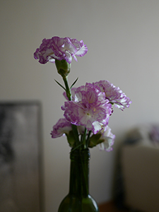 Flowers, Sheung Wan, 1 November 2013
