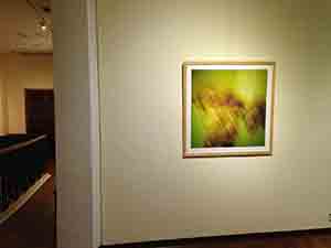 'From Photography to Music: a creative collaboration between David Clarke and Chan Hing-yan', University Museum and Art Gallery, HKU, Pokfulam, 11 November 2013