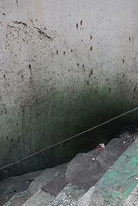 Detail of wall, Shek Kip Mei, 3 February 2014