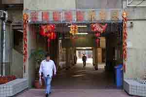 Lunar New Year decorations in a public housing estate, Sham Shui Po, 3 February 2014