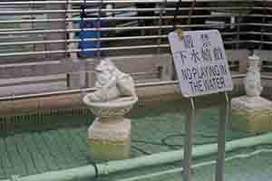 Warning sign on a pond, Sham Shui Po, 3 February 2014