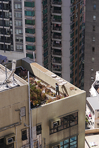 Drying produce on a roof, Sheung Wan, 20 February 2014