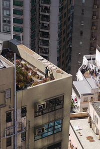 Drying produce on a roof, Sheung Wan, 20 February 2014