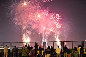 Lunar New Year fireworks, viewed from Central, Hong Kong Island, 1 February 2014