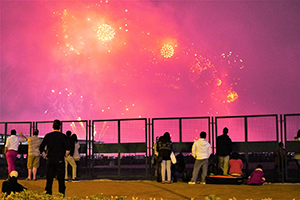 Lunar New Year fireworks, viewed from Central, Hong Kong Island, 1 February 2014