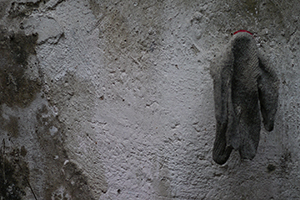Detail of an alleyway wall, Sham Shui Po, 3 February 2014