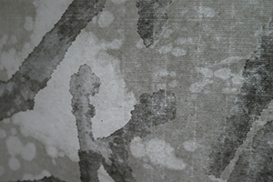 Detail of an artwork by David Clarke made by reworking calligraphy by Frog King (Kwok Mang Ho), Sheung Wan, 22 March 2014