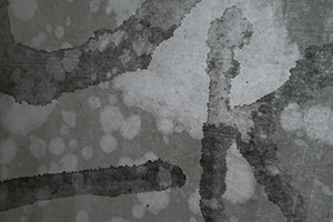 Detail of an artwork by David Clarke made by reworking calligraphy by Frog King (Kwok Mang Ho), Sheung Wan, 22 March 2014