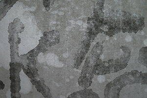 Detail of an artwork by David Clarke made by reworking calligraphy by Frog King (Kwok Mang Ho), Sheung Wan, 22 March 2014