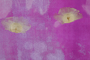 Detail of a print co-created by Kwok Mang Ho and David Clarke, Cattle Depot Artist Village, To Kwa Wan, 28 March 2014