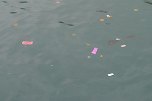 Paper offerings thrown onto the sea, Po Toi island, 21 April 2014