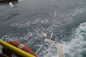 Casting paper offerings on the water whilst on a boat to Joss House Bay on the birthday of Tin Hau, 22 April 2014