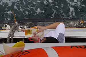 Casting paper offerings on the water whilst on a boat to Joss House Bay on the birthday of Tin Hau, 22 April 2014