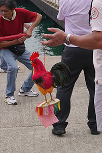 Folk art chicken, on the birthday of Tin Hau, Joss House Bay, 22 April 2014