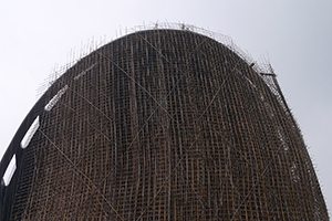 The Convention and Exhibition Centre in scaffolding, Wanchai, 6 April 2014