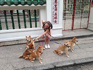 Woman with dogs outside Man Mo temple, Hollywood Road, Hong Kong Island, 26 July 2014