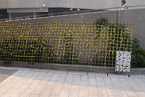 Slogan made of yellow ribbons at the Central Government Offices Complex, Admiralty, 30 September 2014