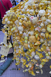 Umbrella installation at the Admiralty Umbrella Movement occupation site, Harcourt Road, 14 October 2014