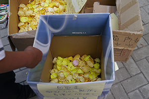 Paper umbrellas at the Admiralty Umbrella Movement occupation site, Harcourt Road, 14 October 2014