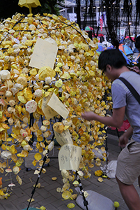 Umbrella installation at the Admiralty Umbrella Movement occupation site, Harcourt Road, 14 October 2014