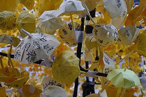 Umbrella installation at the Admiralty Umbrella Movement occupation site, Harcourt Road, 14 October 2014