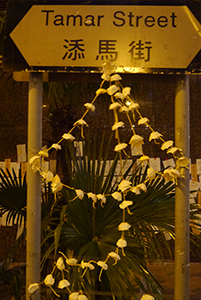 Umbrella installation at the Admiralty Umbrella Movement occupation site, Tamar Street, 20 October 2014