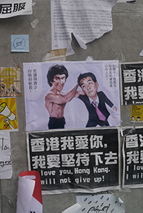 Posters at the Central Government Offices Complex, Admiralty, 25 October 2014