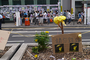 Mongkok Umbrella Movement occupation site, Nathan Road, 26 October 2014