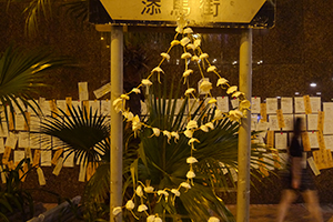 Umbrella installation at the Admiralty Umbrella Movement occupation site, Tamar Street, 20 October 2014