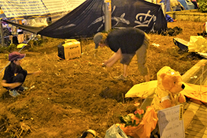 Gardening at the Admiralty Umbrella Movement occupation site, Harcourt Road, 31 October 2014