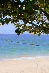 Tung Wan beach, Cheung Chau, 22 November 2014