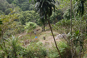 Ma On Shan Country Park, 29 November 2014