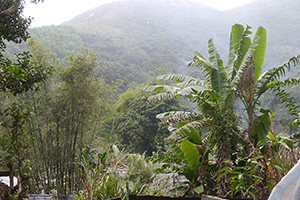 View of Ma On Shan Country Park, 29 November 2014