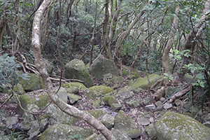 Ma On Shan Country Park, 29 November 2014